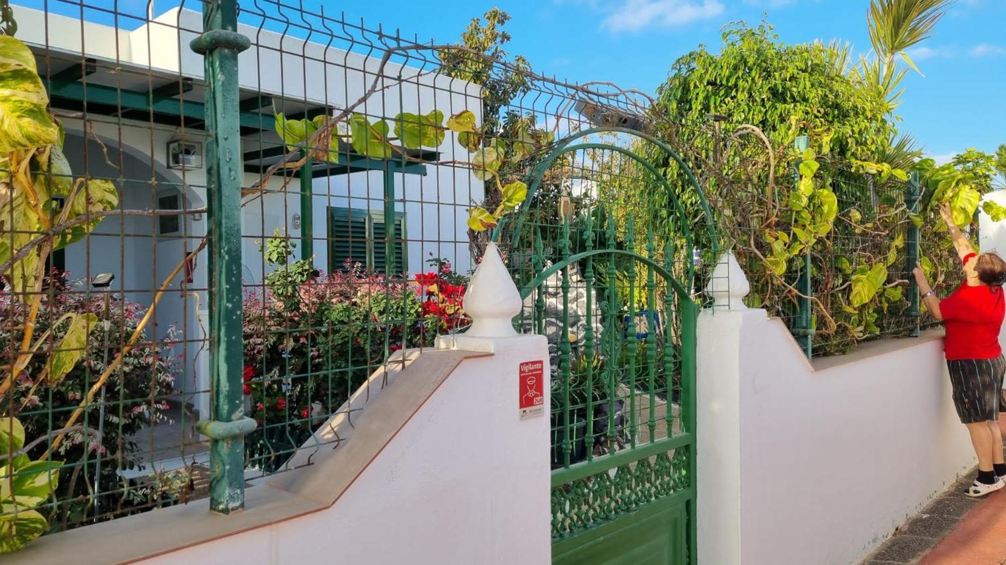 Apartamento Bungalows Isabel Maria بلايا بلانكا المظهر الخارجي الصورة