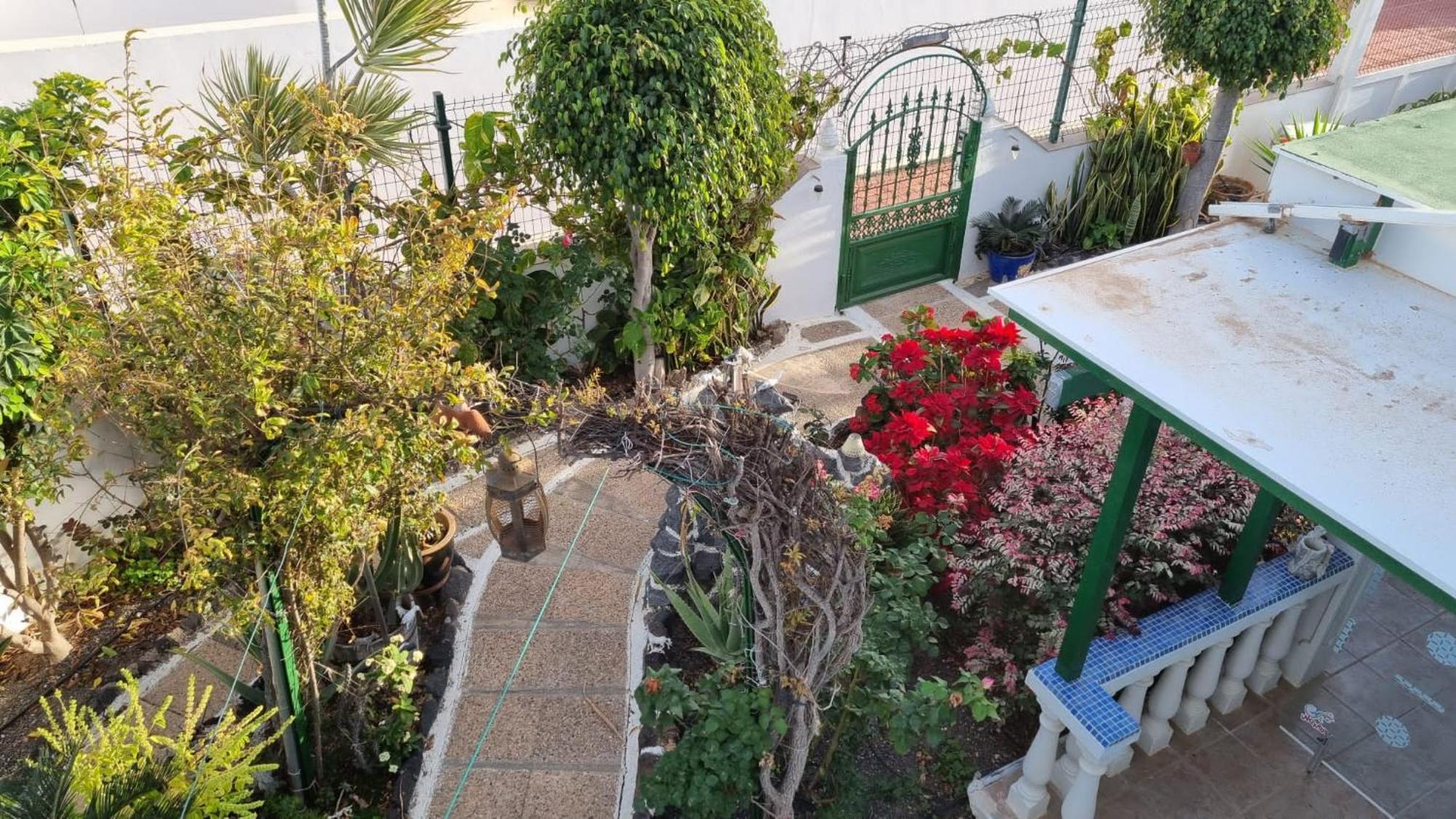 Apartamento Bungalows Isabel Maria بلايا بلانكا المظهر الخارجي الصورة
